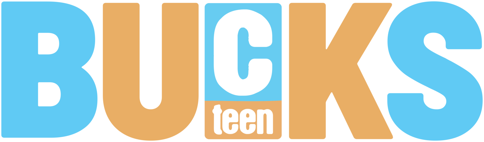 CTeen Bucks Teen logo